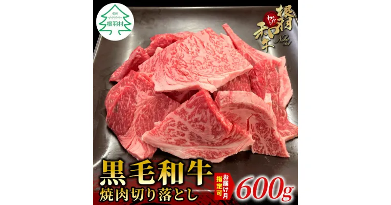 【ふるさと納税】お届け月が選べる◎根羽こだわり和牛 焼肉切り落とし 600g カルビ リブロース カタロース モモ カタ バラ ウデ 焼肉用 切り落とし 不揃い 10000円 10,000円 一万円