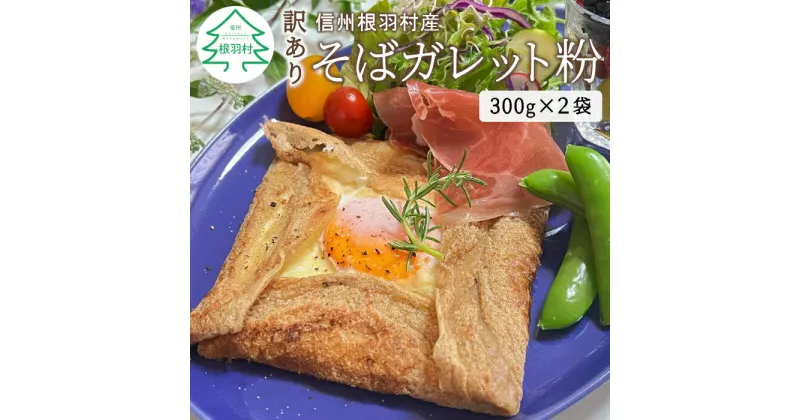 【ふるさと納税】訳あり！おしゃれ 信州根羽村産 そばガレット粉 600g (300g×2袋）国産 長野県産 信州産 蕎麦 ガレット 訳有 わけあり 訳あり おしゃれ カフェ スイーツ モーニング ランチ フルーツ 野菜 4000円 △