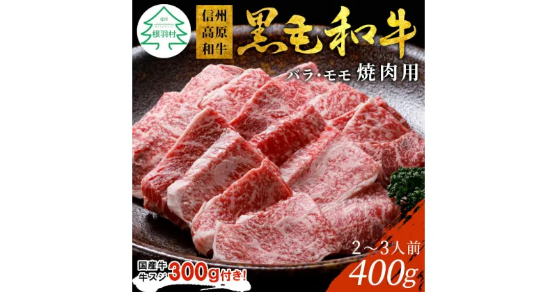 【ふるさと納税】国産牛牛スジ付き★信州高原和牛 焼肉 400g バーベキュー 牛肉 バラ肉 モモ 厳選 盛り合わせ 国産黒毛和牛 牛肉 和牛 焼き肉 10000円 10,000円 一万円 1万円