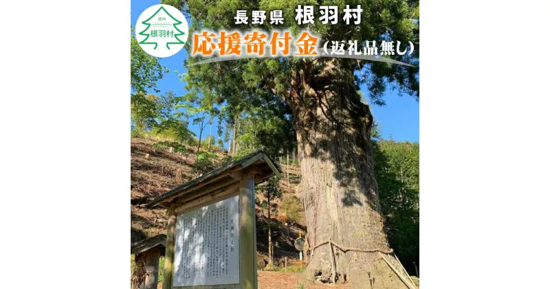 【ふるさと納税】長野県根羽村への応援　(返礼品はございません）寄付のみ 1000円　返礼品なし