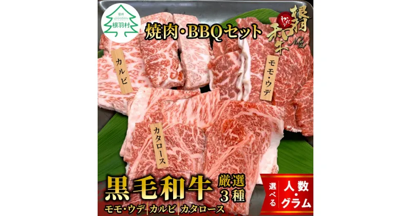 【ふるさと納税】根羽こだわり和牛 内容量が選べる 黒毛和牛焼肉・BBQセット 450g～1050g 2～3人前キャンプ バラ肉 モモ肉 盛り合わせ 厳選 牛肉 和牛 焼き肉 バーベキュー BBQ キャンプ カルビ カタロース 大人数 国産牛