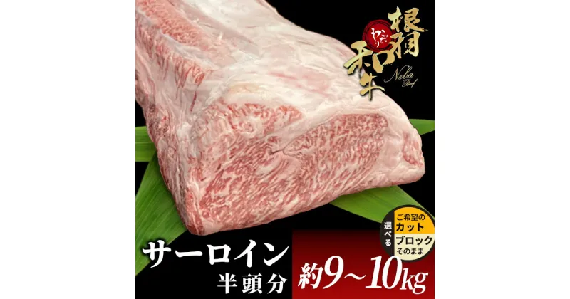 【ふるさと納税】数量限定！根羽こだわり和牛 サーロイン 半頭分 約9～10kg 国産 黒毛和牛 国産牛 サーロイン ブロック肉 塊肉 すき焼き しゃぶしゃぶ ステーキ 焼肉 大人数 パーティー お祝い BBQ 大容量 サーロインブロック モモブロック ローストビーフ