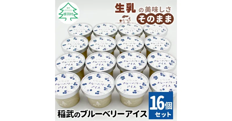 【ふるさと納税】NEW★無農薬 除草剤不使用！ 30品種をブレンドした ブルーベリー アイス16個入り80ml 生乳 ブルーベリー ソース ソフトクリーム アイスクリーム アイス ブルーベリーアイス 無農薬 フルーツアイス スイーツ 10000円