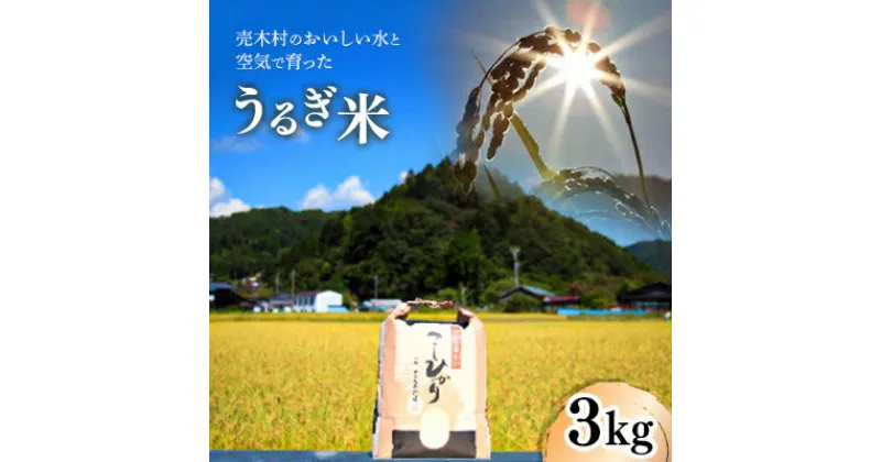 【ふるさと納税】【令和5年産】うるぎ米3kg【1209992】