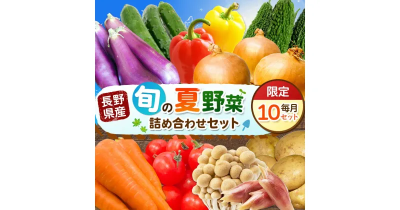 【ふるさと納税】天龍村 旬の夏野菜 （ 農産物 ） | 詰め合わせ セット 野菜 野菜セット 農産物 野菜類 詰合せ セット 長野県 天龍 てんりゅう