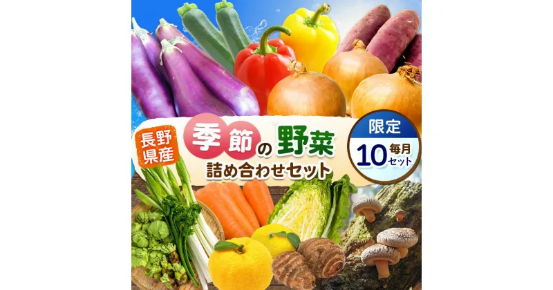 【ふるさと納税】〔定期便5回〕季節の野菜セット | 詰め合わせ セット 野菜 野菜セット 農産物 野菜類 詰合せ セット 長野県 天龍 てんりゅう