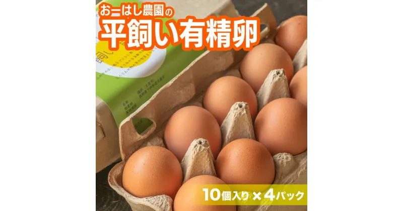 【ふるさと納税】おーはし農園の平飼い有精卵 10個 4パック | たまご 玉子 鶏 新鮮