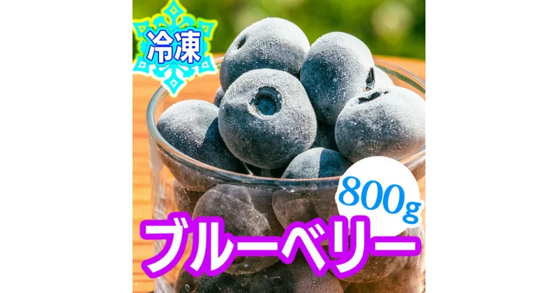 【ふるさと納税】冷凍 ブルーベリー ｜ 急速冷凍 ジャム お菓子 デザート アイス 新鮮