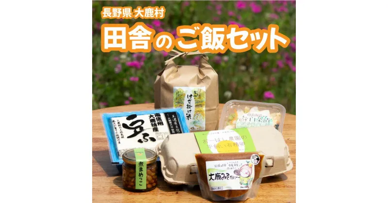 【ふるさと納税】大鹿いなかのご飯セット