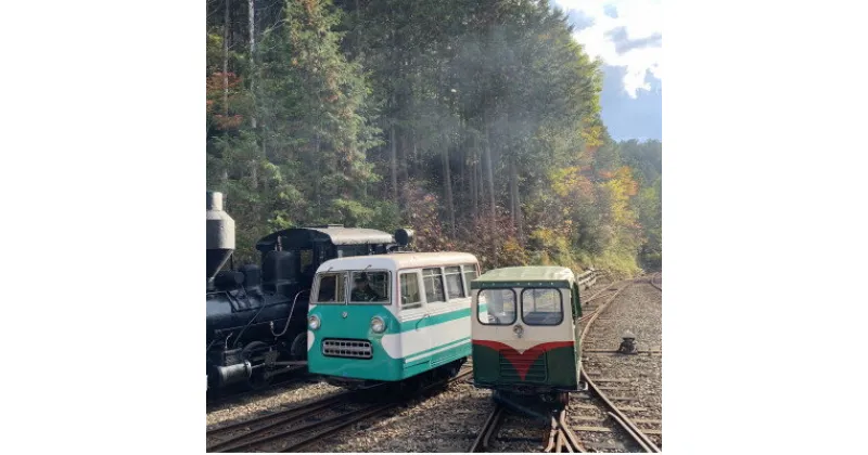 【ふるさと納税】赤沢森林鉄道　モーターカー特別貸し切り乗車【1394692】