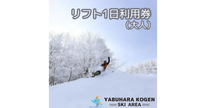 【ふるさと納税】やぶはら高原スキー場 リフト大人1日引換券【1513063】