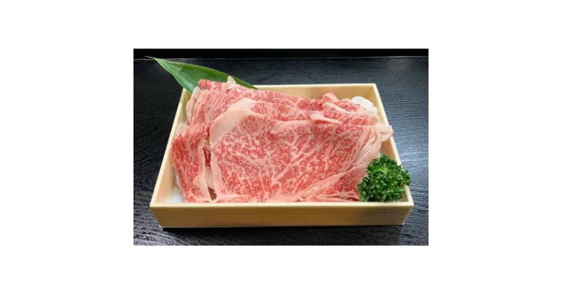 【ふるさと納税】銘撰木曽牛ロース肉(うす切り)約500g【配送不可地域：離島】【1516001】