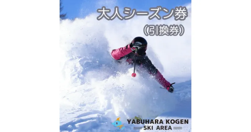 【ふるさと納税】やぶはら高原スキー場 大人シーズン券 引換券【1516844】