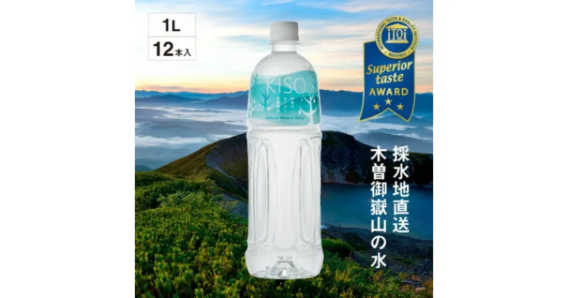 【ふるさと納税】ミネラルウォーター「木曽の天然湧水KISO」1000ml(12本) ウォーターツリーボトル【1453706】