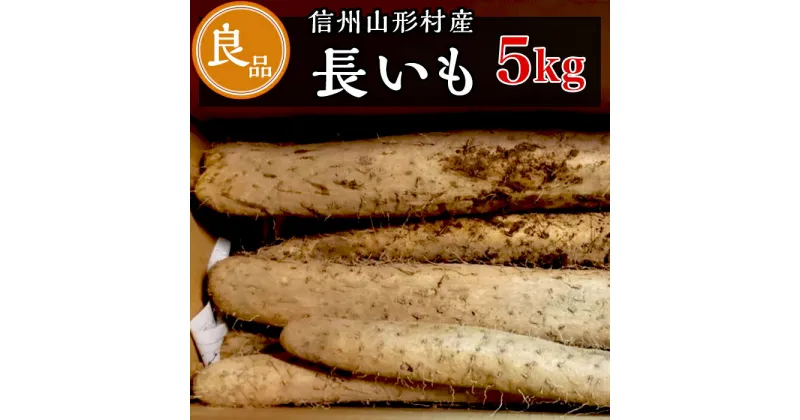 【ふるさと納税】3204 信州山形村産 長いも 良 5kg