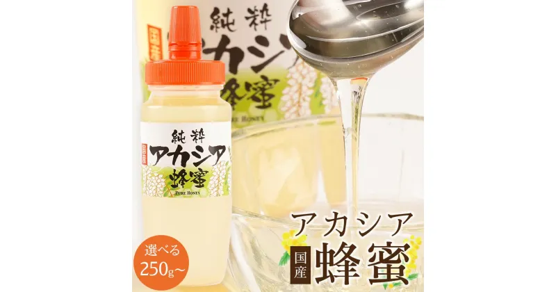 【ふるさと納税】＜直売所「まんだらの庄」＞信州はちみつ アカシア アカシヤ　250g／500g／1kg | ハニー 蜂蜜 アカシヤ 食品 人気 おすすめ 送料無料