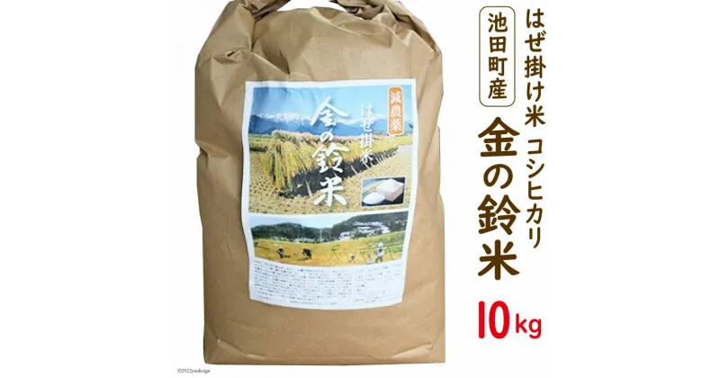 【ふるさと納税】 米 コシヒカリ 金の鈴米 10kg [池田町観光協会 長野県 池田町 48110005] お米 こしひかり 美味しい 池田町産 はぜ掛け米 はぜかけ米