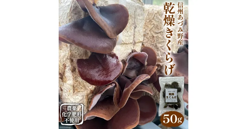 【ふるさと納税】 きくらげ 50g [安曇野ベジタブル 長野県 池田町 48110474] キクラゲ 木耳 国産 乾燥