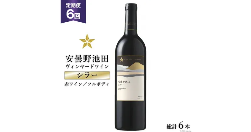 【ふるさと納税】6回 定期便 赤ワイン サッポロ グランポレール 安曇野池田ヴィンヤード「シラー」750ml 総計6本 [池田町ハーブセンター 長野県 池田町 48110610] 赤 ワイン フルボディ 濃厚 凝縮 お酒 酒