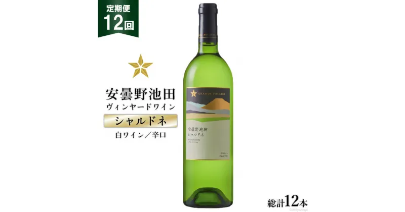 【ふるさと納税】ワイン 白 辛口 定期便 12回 サッポロ グランポレール 安曇野池田ヴィンヤード「シャルドネ」750ml 総計12本 白ワイン ギフト プレゼント 贈答 / 池田町ハーブセンター / 長野県 池田町 [48110572]