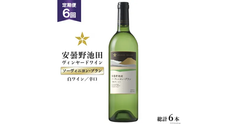 【ふるさと納税】6回 定期便 白ワイン サッポロ グランポレール 安曇野池田ヴィンヤード「ソーヴィニヨン・ブラン」750ml 総計6本 [池田町ハーブセンター 長野県 池田町 48110616] 白 ワイン 辛口 お酒 酒