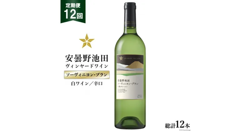 【ふるさと納税】12回 定期便 白ワイン サッポロ グランポレール 安曇野池田ヴィンヤード「ソーヴィニヨン・ブラン」750ml 総計12本 [池田町ハーブセンター 長野県 池田町 48110617] 白 ワイン 辛口 お酒 酒