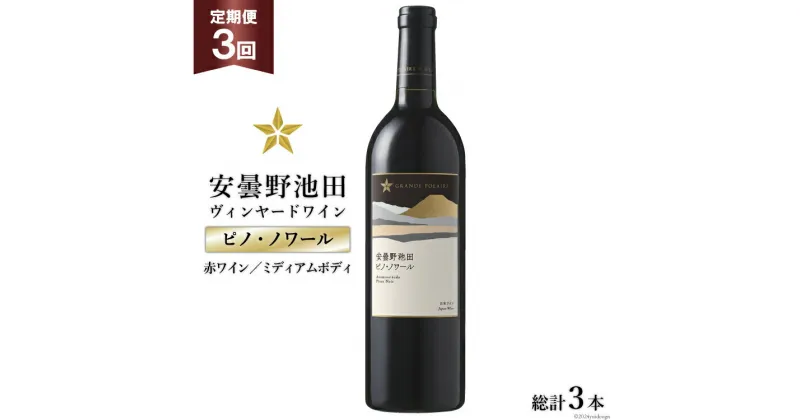 【ふるさと納税】3回 定期便 赤ワイン サッポロ グランポレール 安曇野池田ヴィンヤード「ピノ・ノワール」750ml 総計3本 [池田町ハーブセンター 長野県 池田町 48110621] 赤 ワイン ミディアムボディ お酒 酒