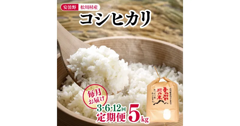 【ふるさと納税】*ファームいちまる【 定期便 】選べる定期回数 3回 ・ 6回 ・ 12回 安曇野 松川村産 コシヒカリ 5kg | 定期便 定期 3回 6回 12回 米 白米 精米 コシヒカリ こしひかり お米 おこめ 長野県 松川村 信州