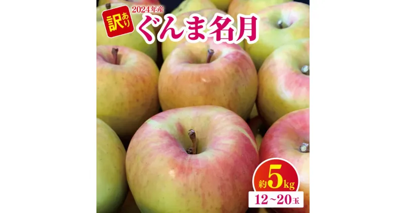 【ふるさと納税】 *やまし平林農園 2024年度産 訳あり ぐんま名月 約 5kg 12 ～ 20玉 ｜ リンゴ りんご 林檎 果物 フルーツ 果実 果汁 ぐんま名月 ぐんまめいげつ 家庭用 わけあり 訳アリ 長野県 松川村 信州