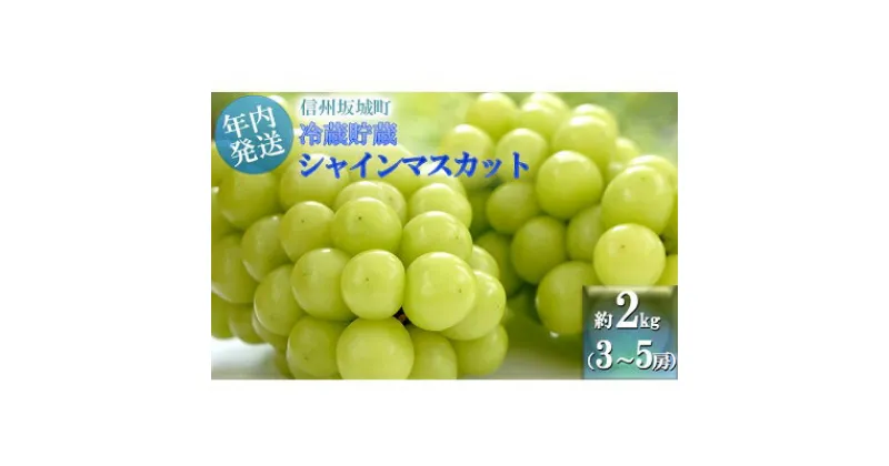 【ふるさと納税】【11・12月発送】冬に味わう！冷蔵貯蔵シャインマスカット 約2kg (3～5房) 長野 信州 坂城 冷蔵シャイン 産地直送 宮原農園 年内発送　ぶどう・ブドウ・マスカット・フルーツ・シャインマスカット・約2kg　お届け：2024年11月中旬～12月下旬