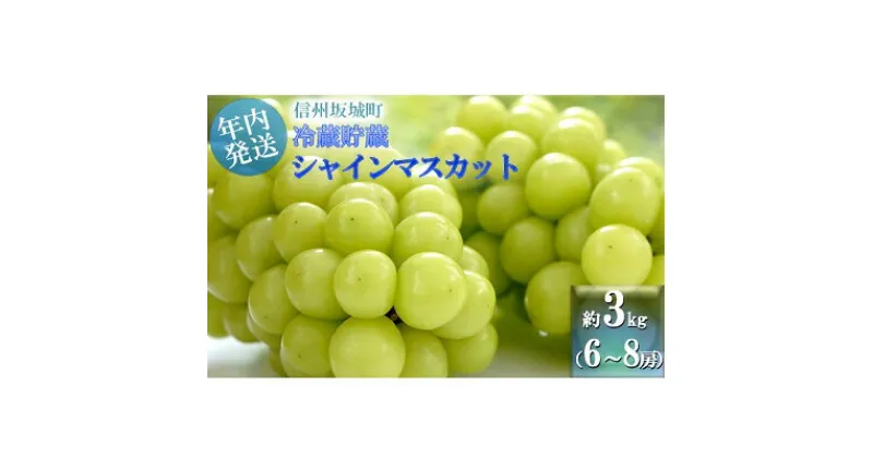 【ふるさと納税】【11・12月発送】冬に味わう！冷蔵貯蔵シャインマスカット 約3kg (6～8房) 長野 信州 坂城 冷蔵シャイン 産地直送 宮原農園　 年内発送　ぶどう・ブドウ・フルーツ・マスカット・シャインマスカット・約3kg・種なし　お届け：2024年11月中旬～12月下旬