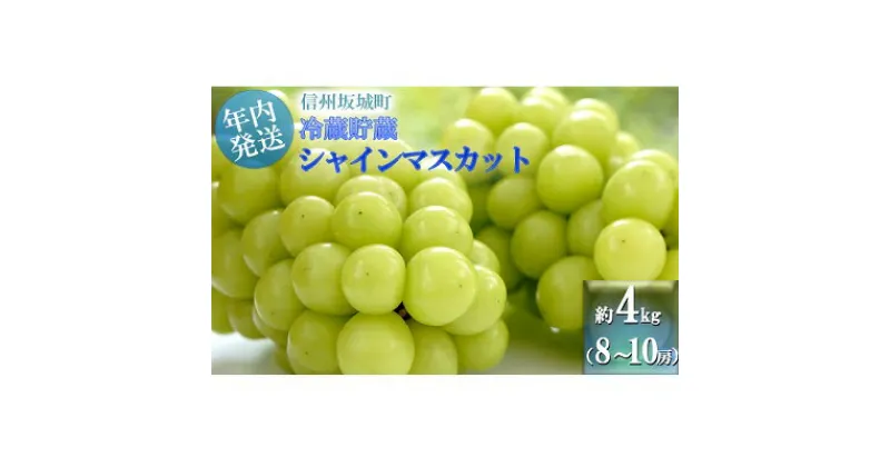 【ふるさと納税】【11・12月発送】冬に味わう！冷蔵貯蔵シャインマスカット 約4kg (8～10房) 長野 信州 坂城 冷蔵シャイン 産地直送 宮原農園　 年内発送　ぶどう・ブドウ・マスカット・フルーツ・シャインマスカット・約4kg・種なし　お届け：2024年11月中旬～12月下旬