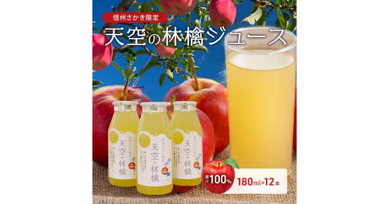 【ふるさと納税】坂城町産りんご「天空の林檎」果汁100%りんごジュース　180ml12本入り　 飲料類 果汁飲料 アップルジュース 飲み物 ソフトドリンク 爽やか