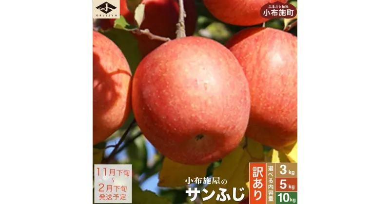 【ふるさと納税】【訳あり】 サンふじ 選べる内容量 約3kg 6～12玉 約5kg 10～23玉 約10kg 24～46玉 ［小布施屋］ りんご 林檎 リンゴ 不揃い 規格外 果物 くだもの フルーツ 長野県 数量限定 生産者応援 支援 家庭用 令和6年産 【2024年11月下旬～2025年2月下旬発送】