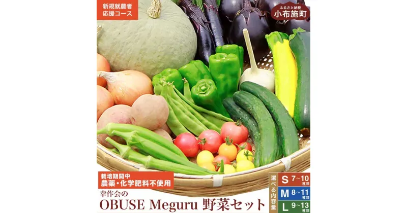 【ふるさと納税】［栽培期間中農薬・化学肥料不使用］ OBUSE Meguru 野菜セット ［新規就農者応援コース 幸作会］選べる内容量 S 7〜10種類 M 8〜11種類 L 9〜13種類 野菜 詰め合わせ 詰合せ 農薬不使用 化学肥料不使用 おまかせ やさい 詰合せ お楽しみ 長野県産 令和6年産