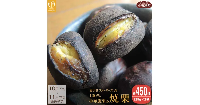 【ふるさと納税】 100％小布施栗の焼栗 約450g ［おぶせファーマーズ］ 栗 スイーツ 栗 くり 焼き栗 果物 フルーツ クール便 先行予約 数量限定 冷蔵便 長野県産 信州産 秋の味覚 おやつ ご当地 特産品 名産 和栗 1万円 一万円 令和6年産【2024年10月下旬〜11月下旬発送】