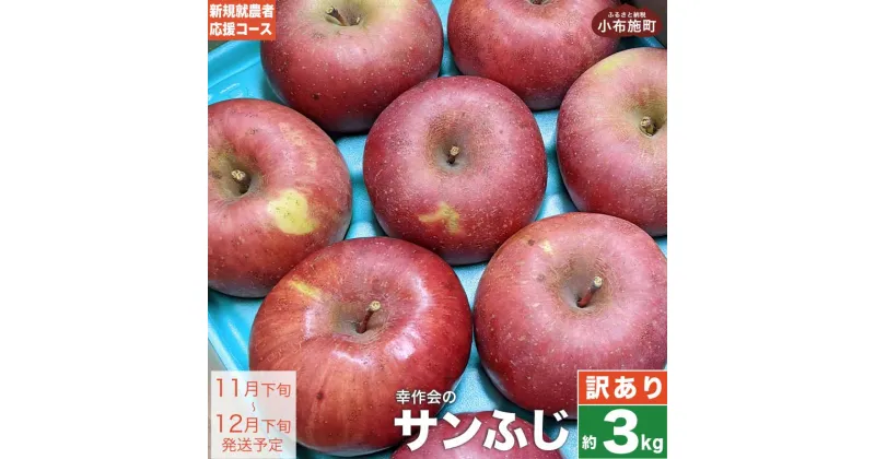 【ふるさと納税】【訳あり】 サンふじ 約3kg ［新規就農者応援コース 幸作会］ りんご 林檎 リンゴ 不揃い 規格外 果物 フルーツ 長野 信州 3kg 特産 産地直送 産直 数量限定 先行予約 生産者応援 支援 家庭用 6000円 令和6年産 【2024年11月下旬～12月下旬発送】