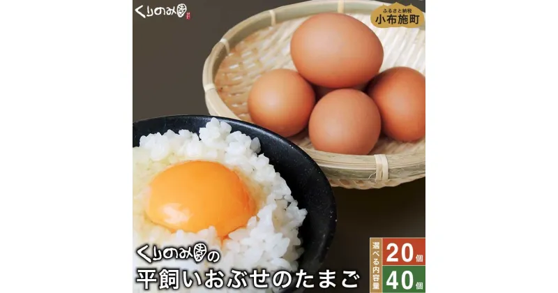 【ふるさと納税】 平飼い おぶせのたまご 選べる内容量 20個 40個［くりのみ園］ 卵 玉子 生卵 鶏卵 長野県産 小布施町産 信州