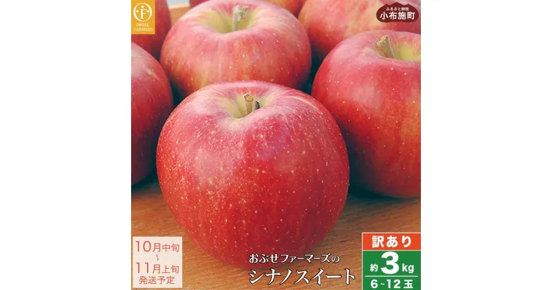 【ふるさと納税】【訳あり】 シナノスイート 約3kg 6～12玉［おぶせファーマーズ］ 不揃い 規格外 家庭用 りんご 林檎 リンゴ 果物 フルーツ 長野県産 信州産 先行予約 数量限定 6000円 令和6年産 【2024年10月中旬〜11月上旬発送】