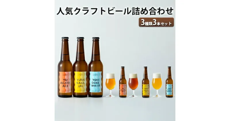 【ふるさと納税】人気クラフトビール詰め合わせ3種類3本セット　 お酒 ビール クラフトビール 長野県 山ノ内町 飲み比べ セット ペールエール IPA ペルジャンホワイト YUDANAKA 晩酌 ギフト 人気