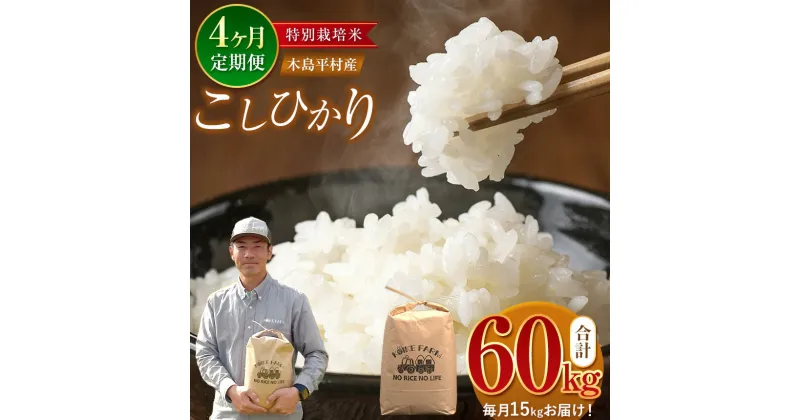 【ふるさと納税】【 4回 定期便 】 特別栽培米 こしひかり 15kg × 4回 小池ファーム | 米 こしひかり コシヒカリ 定番 品種 特別栽培 定期 寒暖差 木島平村 長野県 信州