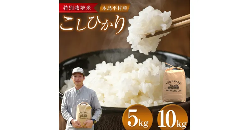 【ふるさと納税】木島平村産 こしひかり 5kg 10kg 小池ファーム | 米 こしひかり コシヒカリ 定番 品種 特別栽培 寒暖差 木島平村 長野県 信州