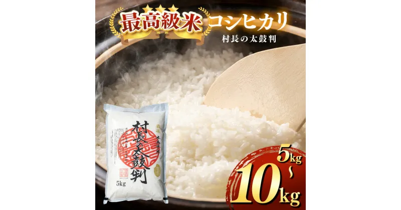 【ふるさと納税】【最高級米コシヒカリ】【減農薬】【無化学肥料】村長の太鼓判 5kg 10kg 選べます