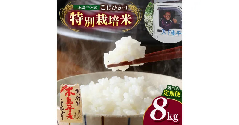 【ふるさと納税】 特別栽培米 こしひかり 8kg （1回 or 4回定期便）竹内農園| 米 こしひかり コシヒカリ 定番 品種 特別栽培 寒暖差 木島平村 長野県 信州