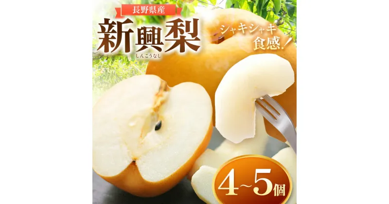 【ふるさと納税】 木島平村産 新興梨 4～5個入り | 果物 フルーツ fruits 梨 なし 木島平村 長野県 信州 北信州