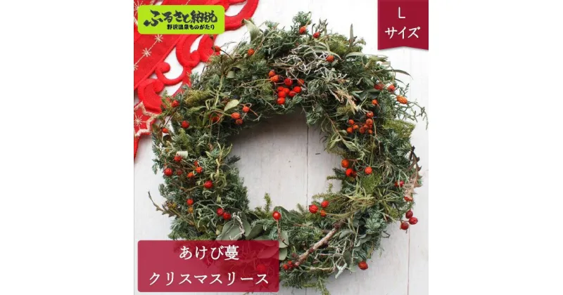 【ふるさと納税】あけび蔓 クリスマスリース Lサイズ | W-1