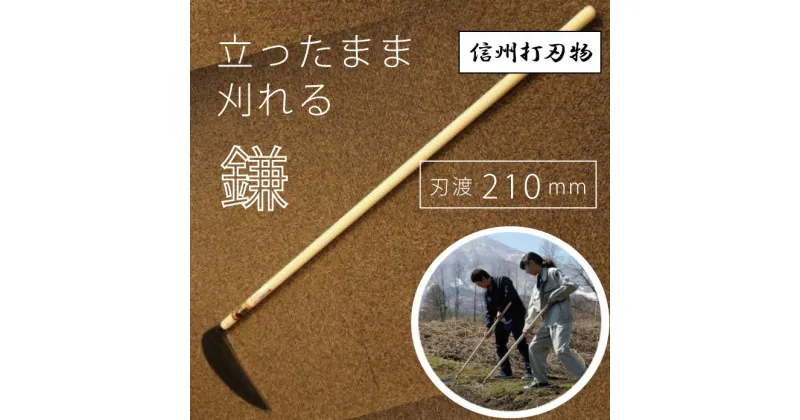 【ふるさと納税】立ったまま刈れる鎌（普通サイズ刃渡210mm）【伝統工芸】