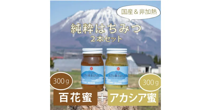 【ふるさと納税】天空の黄金はちみつ　300g×2瓶【数量限定】非加熱 国産 アカシア 百花蜜 ギフト