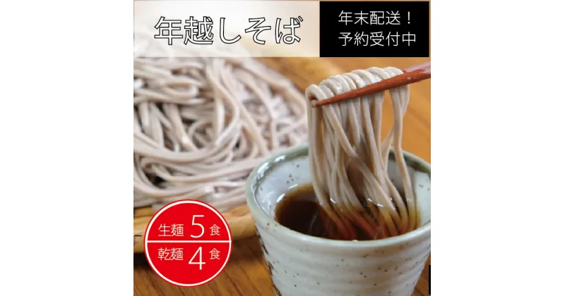 【ふるさと納税】製麺所直送！ 年越し生そばセット（生麺5食・乾麺4食分）　年末限定製造｜つゆ・薬味付き【長野県信濃町】