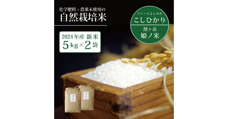 【ふるさと納税】割ケ岳　姫乃米10kg（信濃町精米令和6年度産コシヒカリ5kg2袋）　新米【長野県信濃町】